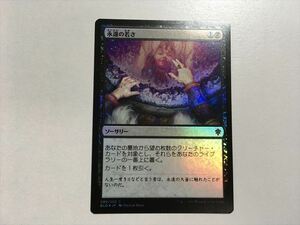 A405【MTG マジック・ザ・ギャザリング】永遠の若さ Foil ホイル