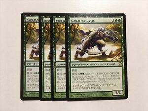 A374【MTG マジック・ザ・ギャザリング】加護のサテュロス 4枚セット 即決