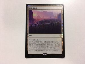 A150【MTG マジック・ザ・ギャザリング】総動員地区 Foil ホイル