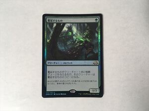 B140【MTG マジック・ザ・ギャザリング】蔓延するもの Foil ホイル