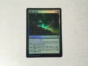 B153【MTG マジック・ザ・ギャザリング】狼柳の安息所 Foil ホイル