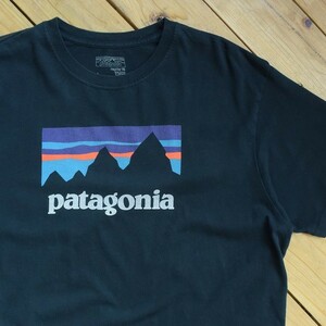 USA古着 Patagonia パタゴニア Tシャツ メンズ Lサイズ オーガニックコットン100％ Made in USA ブランドロゴ アウトドア キャンプ T1097