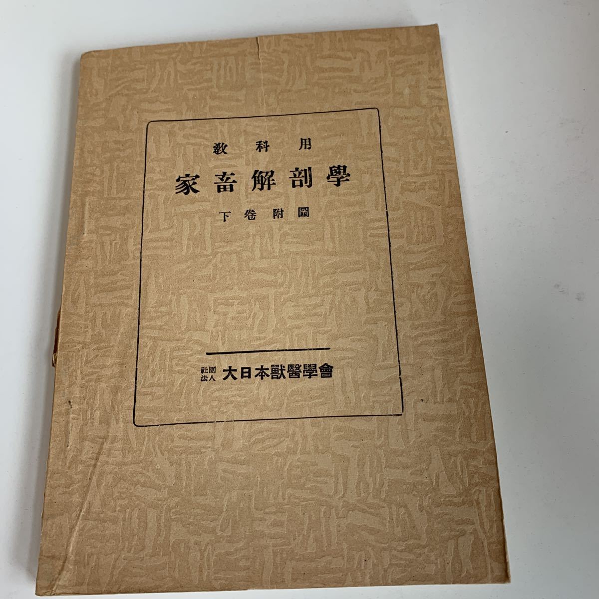 2023年最新】Yahoo!オークション -獣医 外科(本、雑誌)の中古品・新品