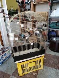 * bird cage * interior * pet accessories * secondhand goods *