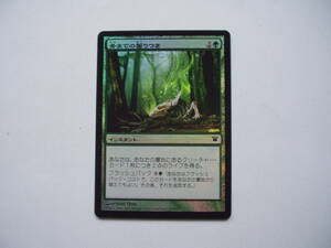 バイン　MTG 骨までの齧りつき/Gnaw to the Bone foil 日本語1枚