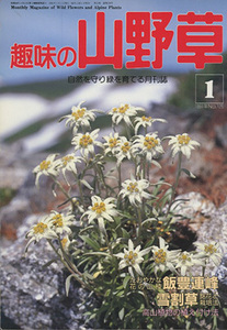 ■趣味の山野草　1991.1月号 No.126〔特集：飯豊連峰／雪割草〕