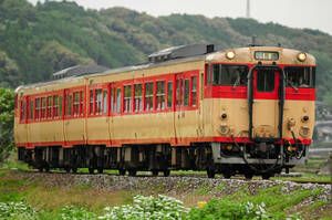 鉄道 デジ 写真 画像 キハ66/67形 大村線 国鉄急行色 11