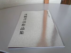 希少・本 沈鵬 書作・展 書法・展 図録 沈鵬書法・作品集 中国・書道 自作詩 李白詩 王維詩 杜牧詩 水原秋桜子/正岡子規/俳句 送料無料