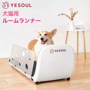 電動ランニングマシンの値段と価格推移は 57件の売買情報を集計した電動ランニングマシンの価格や価値の推移データを公開 電動ランニングマシンの値段と価格推移は 57件の売買情報を集計した電動ランニングマシンの価格や価値の推移データを公開