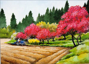 Art hand Auction 【絵画】｢丘は杏子の花ざかり｣ 水彩画 真作, 絵画, 水彩, 自然, 風景画