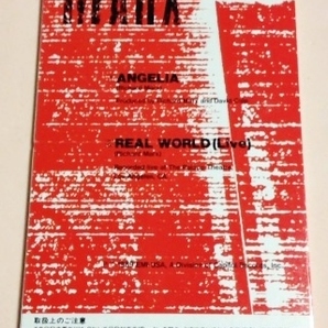 8cmCD リチャードマークス(Richard Marx) 「ANGERIA/REAL WORLD(Live)」 レンタル落の画像3