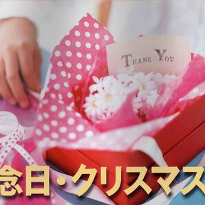 データクラフト 素材辞典シリーズ(Vol.160)記念日・クリスマス編 著作権フリー WIN / MAC 高解像度 動画サムネにも 迅速発送 新品