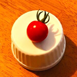 ミニトマトの粘土工作