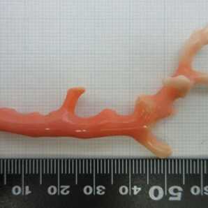 【TOP】桃珊瑚 サンゴ 5.29g 枝 ルース 根付 g960.