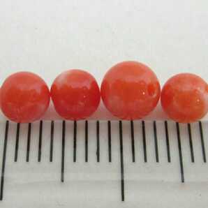 【TOP】血赤珊瑚 サンゴ 加工穴2 ルース セット リング ペンダントトップ 指輪 ブローチ 根付 j547.