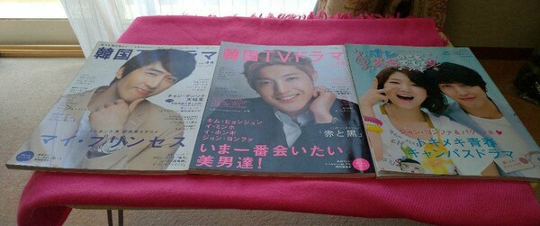 ★☆彡 韓国TVドラマ vol.44、45&オレのことスキでしょ公式ガイドブック出品♪