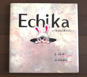 即決【東京メトロ/非売品】絵本『Echika 生まれた時のこと』エチカちゃん小林慎一 澤海康弘 ECHIKA ノベルティ キャラクターグッズ大塚勝俊