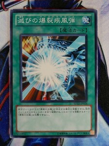 ◇B4742◇遊戯王OCG・滅びの爆裂疾風弾 ノーマル SD22-JP024◇