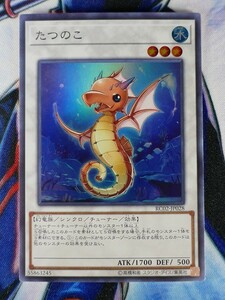 ◇B3727◇遊戯王OCG・たつのこ スーパー RC02-JP028◇