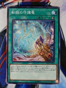 ◇B3981◇遊戯王OCG・転臨の守護竜 ノーマル DANE-JP060◇