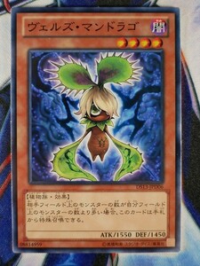 ◆B4595◆遊戯王OCG・ヴェルズ・マンドラゴ ノーマル DS13-JPD06◆