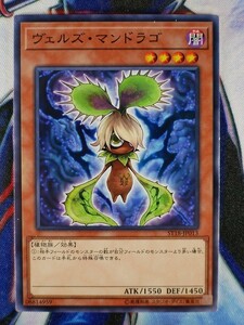 ◆B4598◆遊戯王OCG・ヴェルズ・マンドラゴ ノーマル ST18-JP013◆