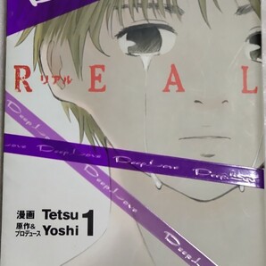 Deep Love~REALリアル~1-12巻セット