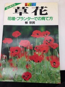 草花 花壇・プランターでの育て方 柳 宗民 家の光協会 