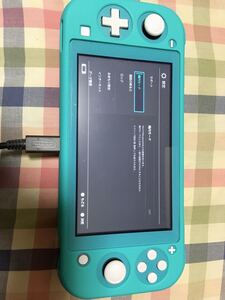 NINTENDO SWITCH LITE スイッチ ライト 本体+充電器