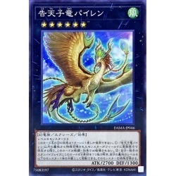 遊戯王　DAMA-JP046　告天子竜パイレン　１枚・ノーマル・未使用