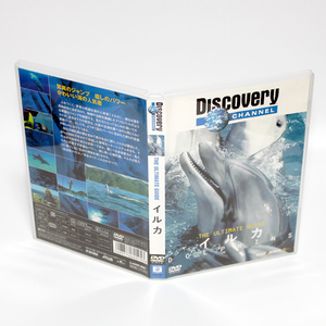  дельфин Discovery канал DVD THE ULTIMATE GUIDE * внутренний стандартный DVD* бесплатная доставка * быстрое решение 