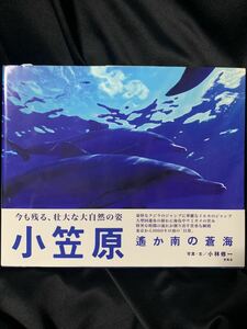 小笠原 遙か南の蒼海 小林修一