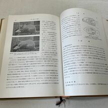 210623♪G07♪送料無料★時実利彦 脳の生理学 2冊セット★生理学大系 1967年★医学書_画像9