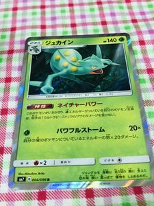 ポケモンカード ポケカ キラ ジュカイン