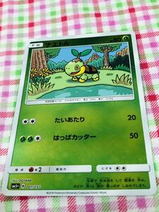 ポケモンカード ポケカ ミラーカード ナエトル