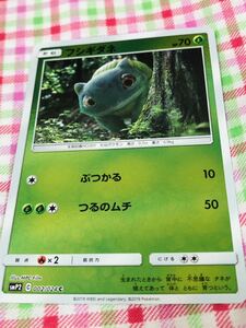 ポケモンカード ポケカ ミラーカード フシギダネ