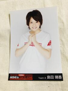 AKB48 公式生写真 東京ドームコンサート 島田晴香