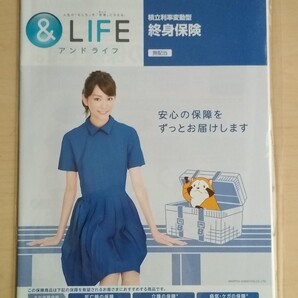 三井住友海上あいおい生命積立利率変動型終身保険パンフレット2016年5月版 桐谷美玲表紙