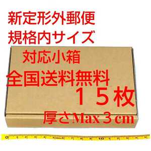 定形外郵便用小型ダンボール：厚さMAX3cm定形外郵便規格内サイズ １５枚