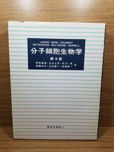 分子細胞生物学 第４版 上 下　２冊セット　CD-ROM 付属　東京化学同人　