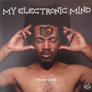 Reggie Dokes - My Electronic Mind / 検索 Theo Parrish . Omar-S . Mr.g . Moodymann