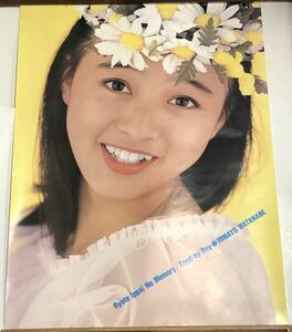  Watanabe Minayo желтый задний постер примерно 51×71.