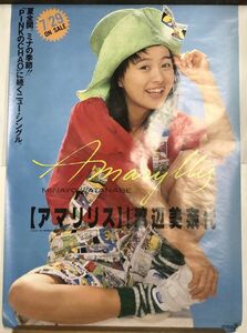 渡辺美奈代 アマリリス ポスター 約59×82㎝