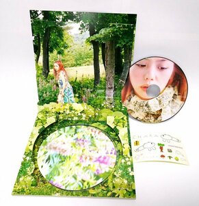 [ including in a package OK] CHARA TOUR 2002 / tea la/ Tour pamphlet. CD-ROM version / Windows / Mac / valuable . photograph . image etc. . compilation!!