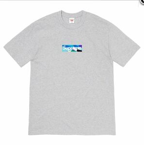 【Mサイズ】Supreme / Emilio Pucci Box Logo Tee グレー/青 シュプリームボックスロゴ