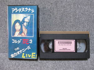 [Открыто VHS Treasure Video Junk] Полная власть в прямом эфире Ашита Нараколеде смерти Киотской панк -группы Независимое производственное видео Geki Rare!