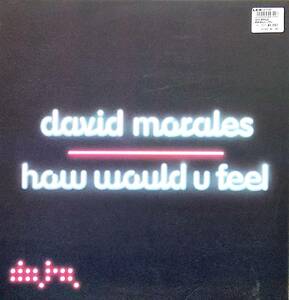3815【ＬＰ盤】 ☆めったに出品されない ☆デビッド・モラレス How Would U Feel ≪貴重レコード≫　送料安