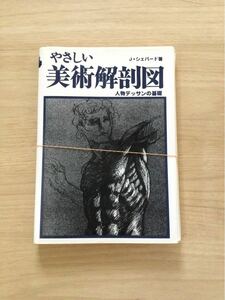 ※最終値下げ［裁断済］やさしい美術解剖図