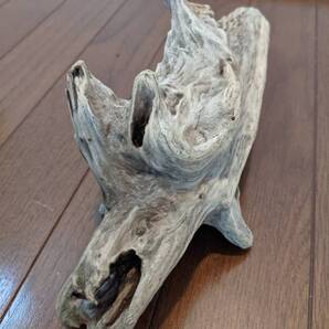 ☆天然流木 水槽 1点物 アクアリウム オブジェ アート 31×13×9cm 大和川河口 爬虫類 インテリア