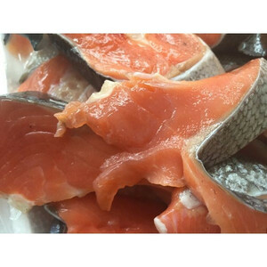  鮭 カマ・切身 切り落とし 甘塩 たっぷり 1kg-1.5kg 未使用
